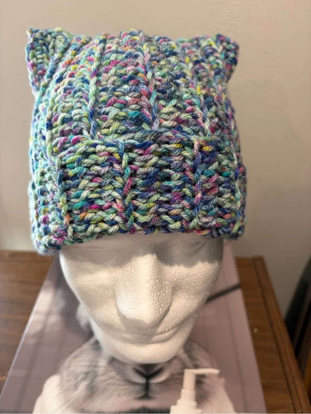 Crochet Cat Ear Beanie Multicolor Chunky Cozy Winter Hat